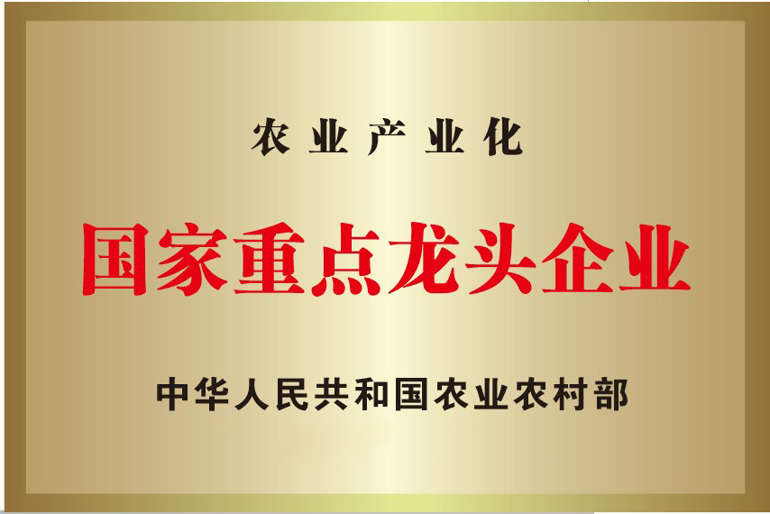 亚游集团AG8(中国)官网 -只为非凡