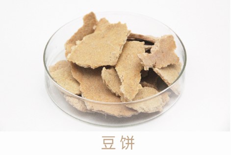 亚游集团AG8(中国)官网 -只为非凡
